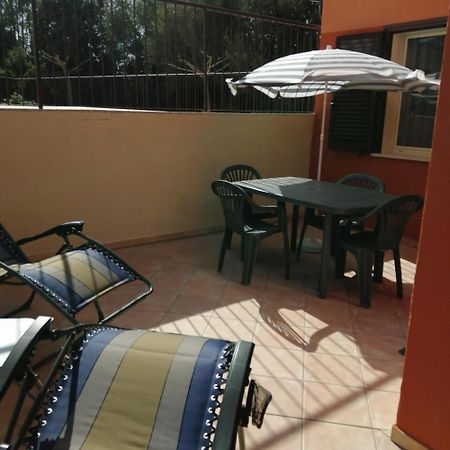 Joli Appartement En Corse Avec Piscine Belgodère Exteriör bild