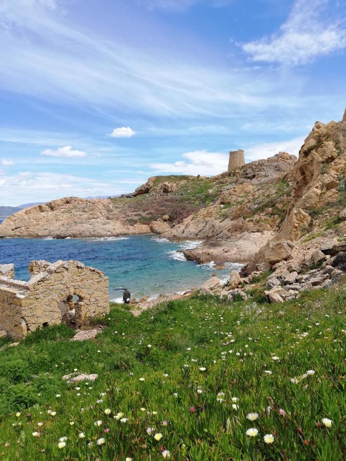 Joli Appartement En Corse Avec Piscine Belgodère Exteriör bild